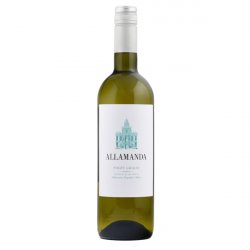 Allamanda Pinot Grigio 2023