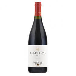 Torres Perpetual Red 2018