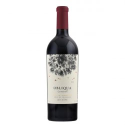 Obliqua Carmenere Ventisquero 17/19