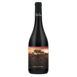 La Garnacha Olvidada De Aragón 18/20