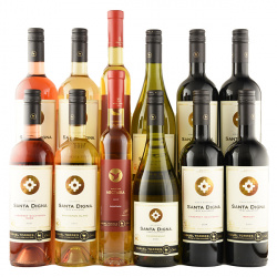 Torres Chile Discounted Mixed Case