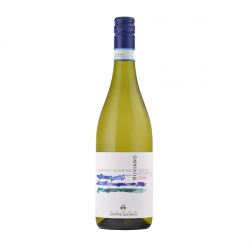 Ruviano Verdicchio Classico 212223