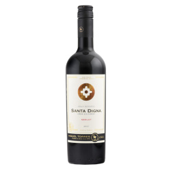 Santa Digna Cabernet Sauvignon Gran Reserva Torres 2022