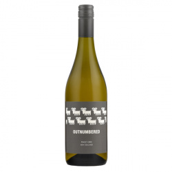 Outnumbered New Zealand Pinot Gris 2023